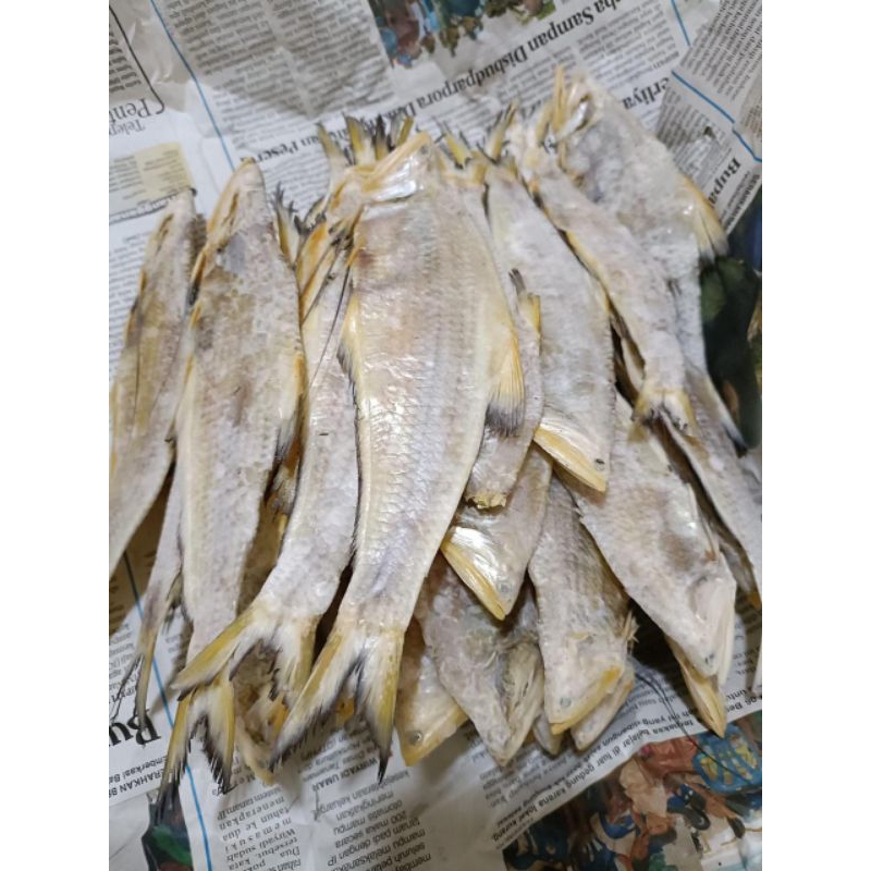 

Ikan Asin Biang Ikan Miang Bengkalis