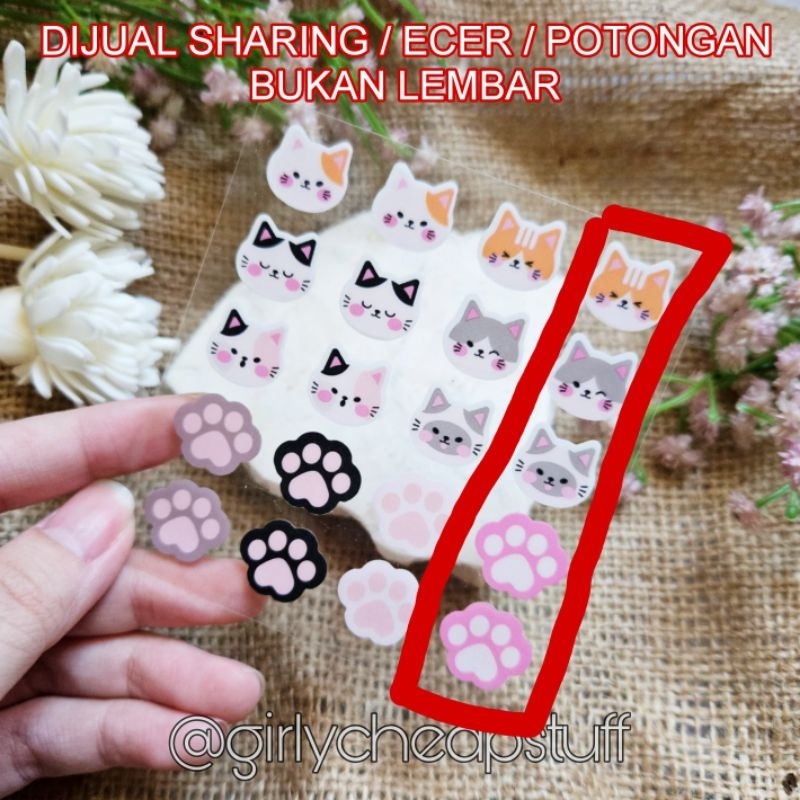 SHARE ECER BUKAN LEMBAR Cat Theme Kitten Kucing Stiker Jerawat Hydrocolloid Acne Pimple Patch Sticke