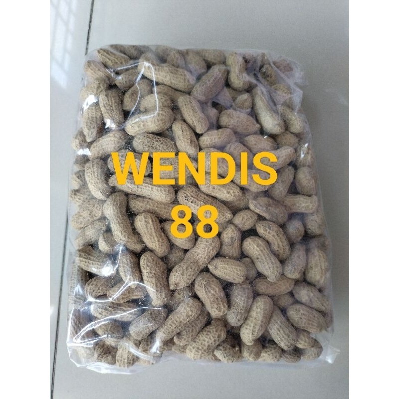 

KACANG GARING TRADISIONAL TAPSEL UKURAN SEDANG.