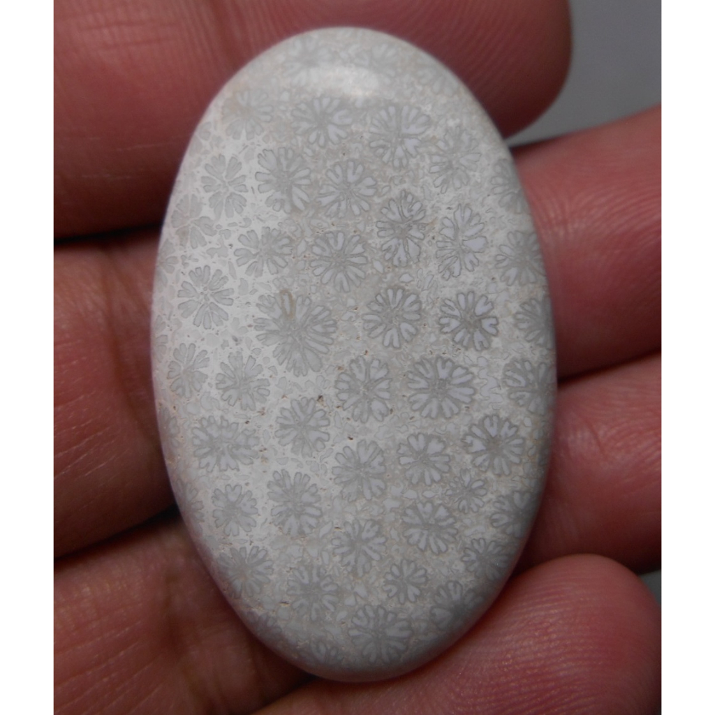 akik badar teratai putih gambar bunga nyeplok unik