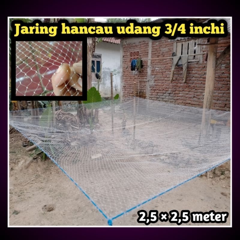 Branjang udang tangkul udang hancau udang jaring anco udang lubang 3/4 inchi jaring ikan