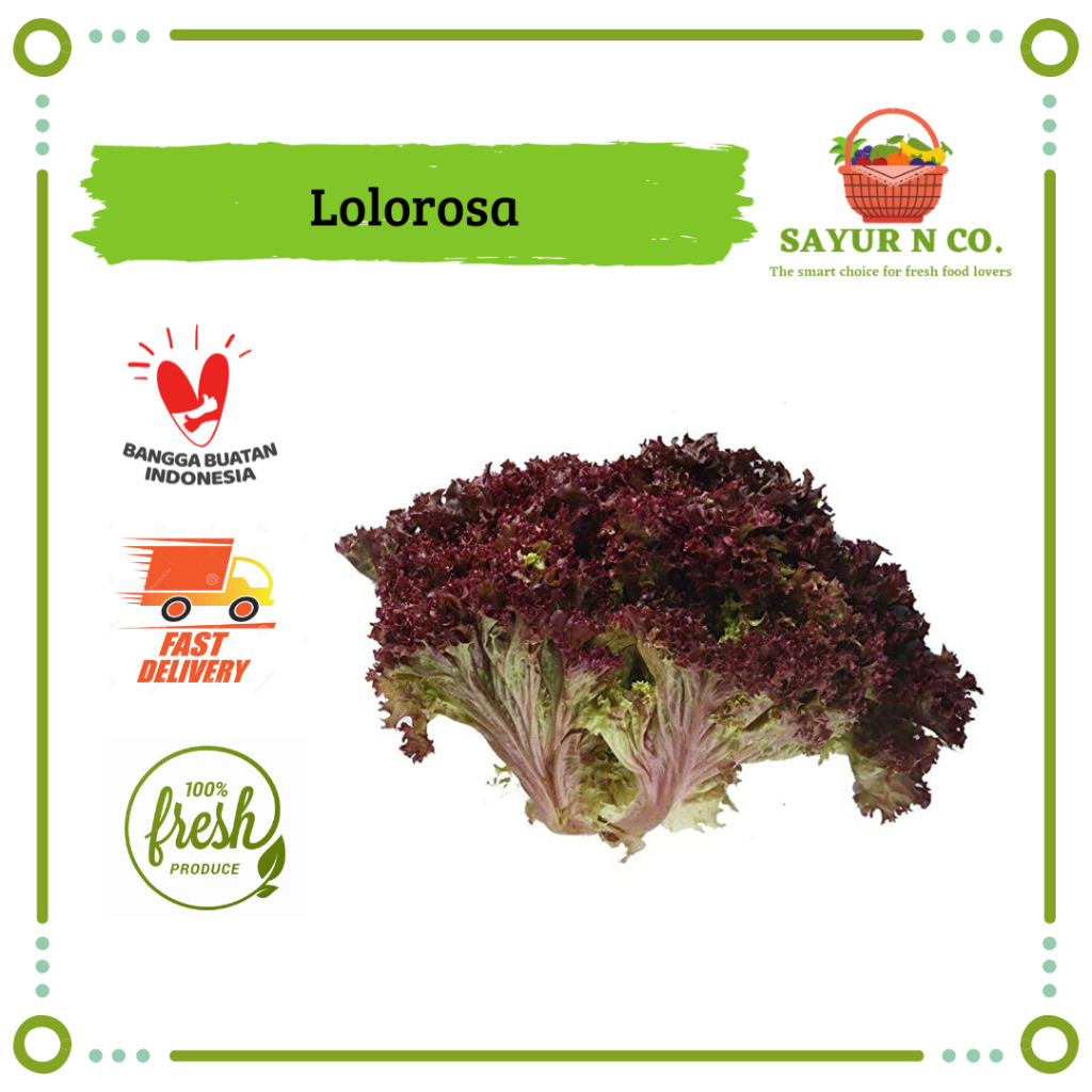 

Lolorosa / Red Lettuce / Selada Merah | Sayur N Co Bekasi