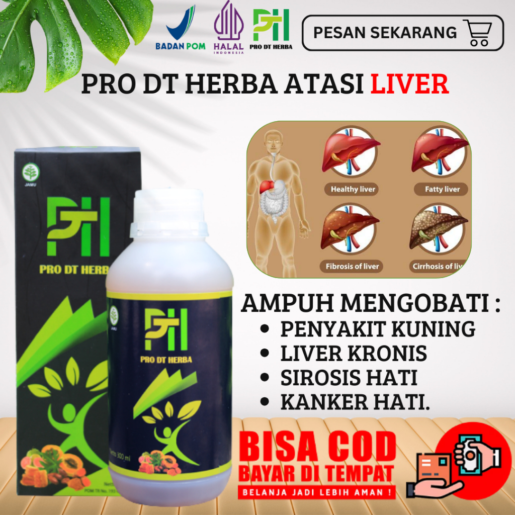 Obat liver paling ampuh dan terpercaya, obat liver herbal paling ampuh, obat liver asli original bpo
