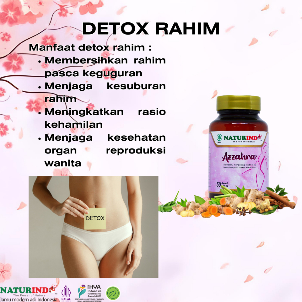 Obat Detox Rahim Pembersih Kandungan Detoks Setelah Keguguran Detoksifikasi Cepat Punya Anak