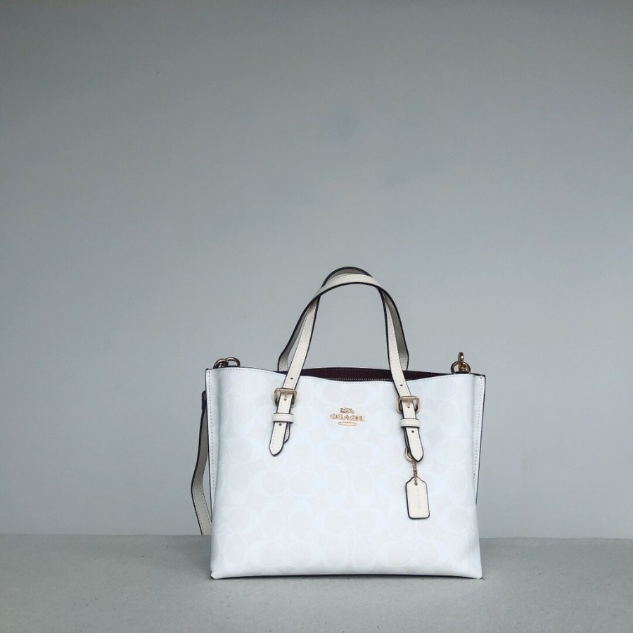 TAS WANITA COACH MINI MOLLIE TOTES SIGNATURE 25 WHITE