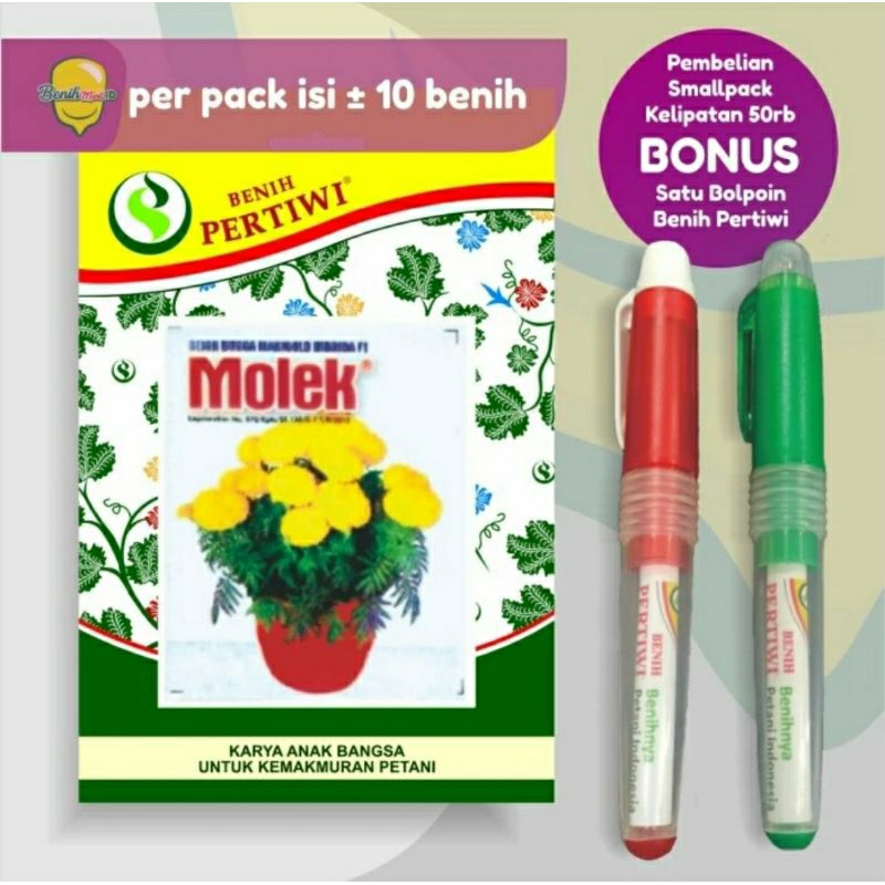 Benih Bunga Marigold Hibrida F1 MOLEK