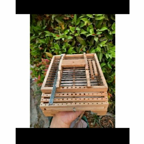 Sangkar Burung Mini Ambrukan Mentah Kayu Jati