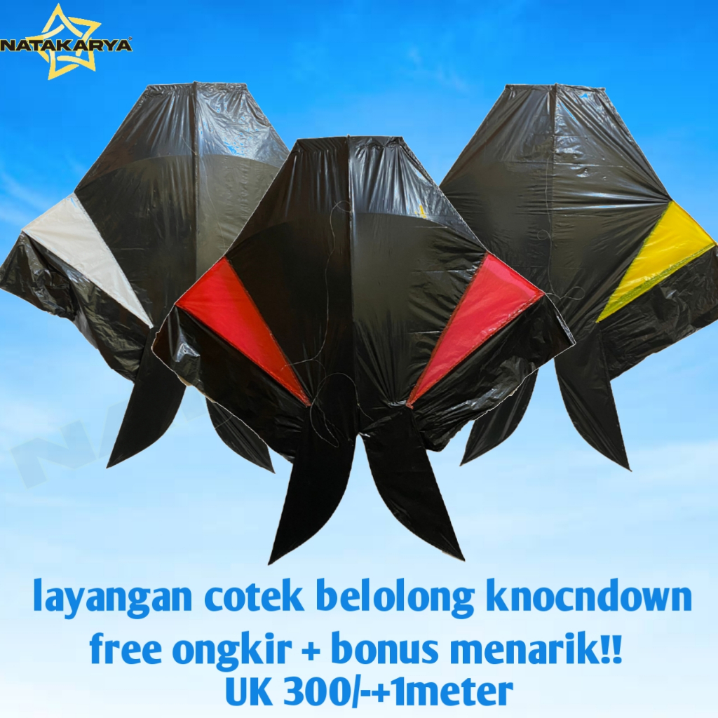 Layangan Cotek Belolong 1meter - Layangan Cotek - Layangan bebean - Layangan Bebean Bali - Layangan 