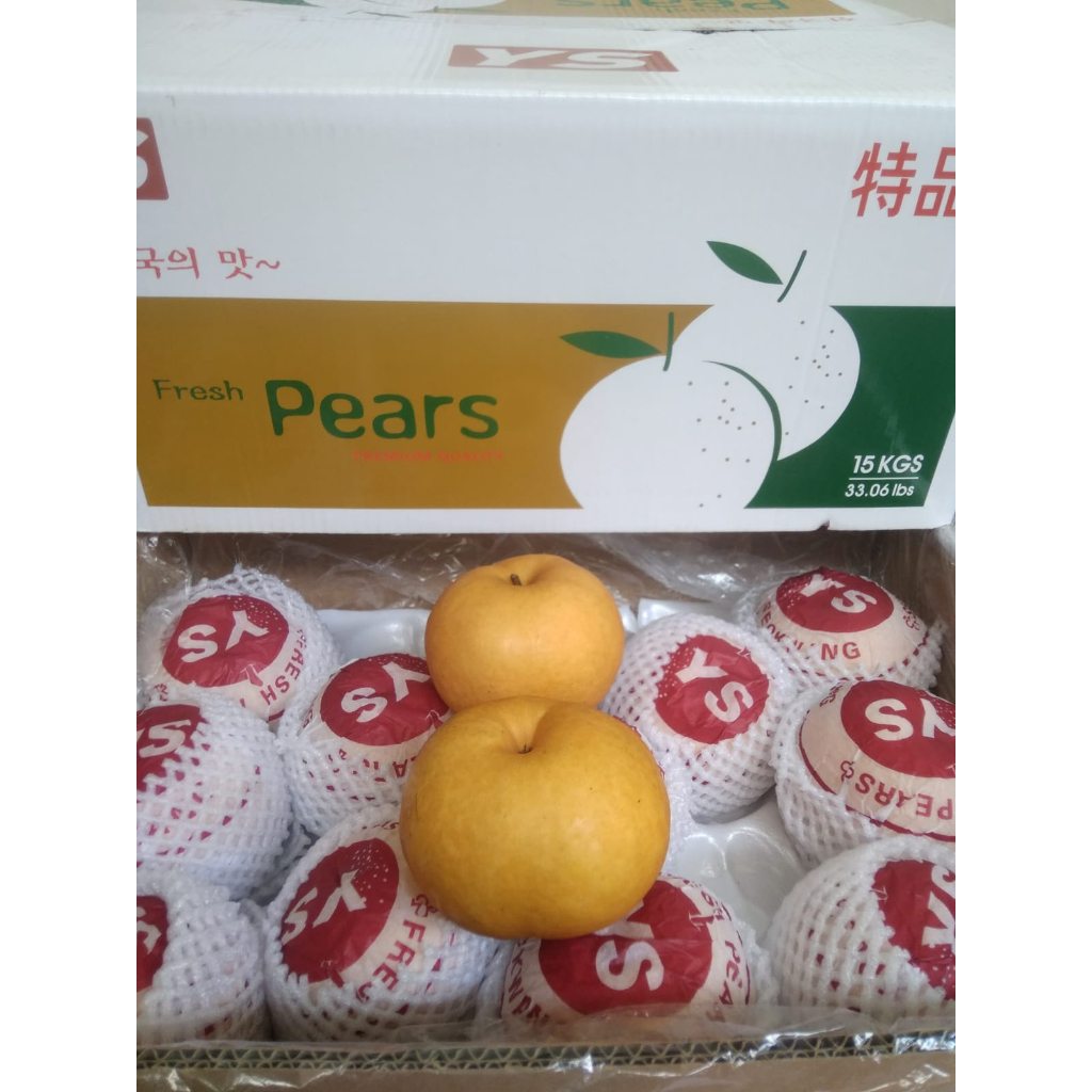 

PEAR KOREA SINGO YS KOREAN PEAR FRESH IMPORT PER DUS