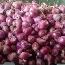 

Bawang merah