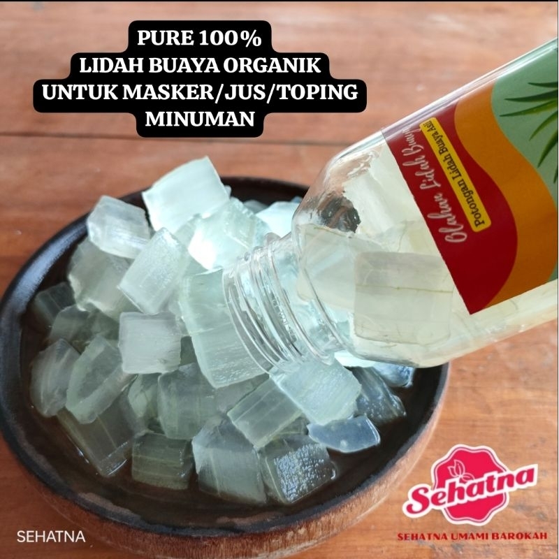

LIDAH BUAYA KUPAS [ PLAIN/TANPA GULA ] UNTUK SAKIT MAAG TINGGAL DIKONSUMSI/ ORGANIK /NATA DE ALOE [ASLI/ORI] OBAT HERBAL LIDAH BUAYA RASA PLAIN TANPA GULA TANPA PENGAWET KHUSUS PALEMBANG