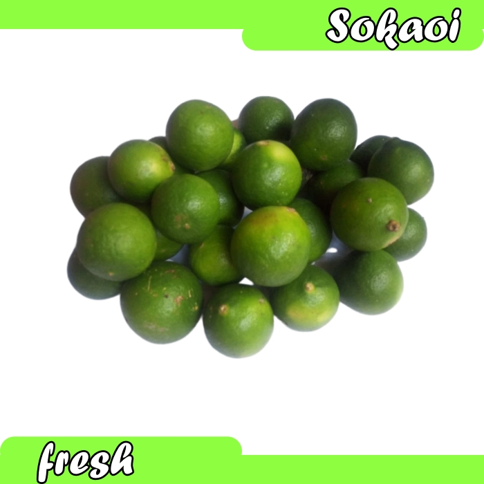 

JERUK NIPIS SEGAR FRESH LIME