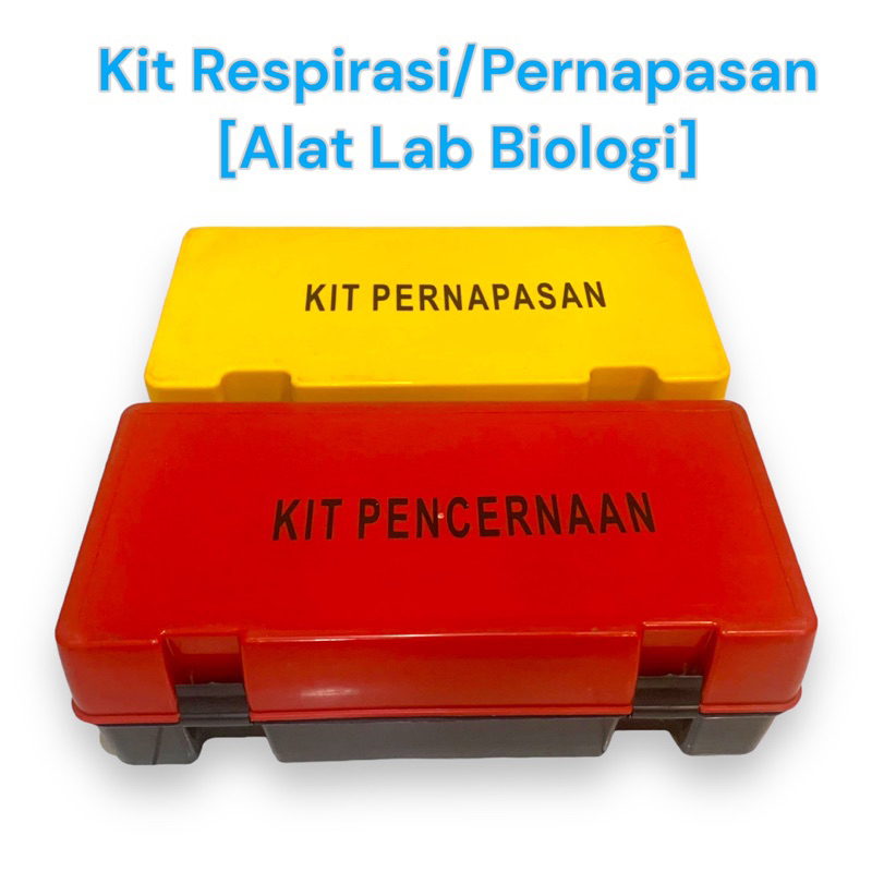 

kit respirasi/pernapasan | Kit pencernaan (Alat lab biologi)