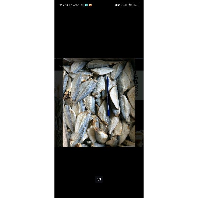 

ikan asin peda buntung/peda putih 1kg (TERMURAH)