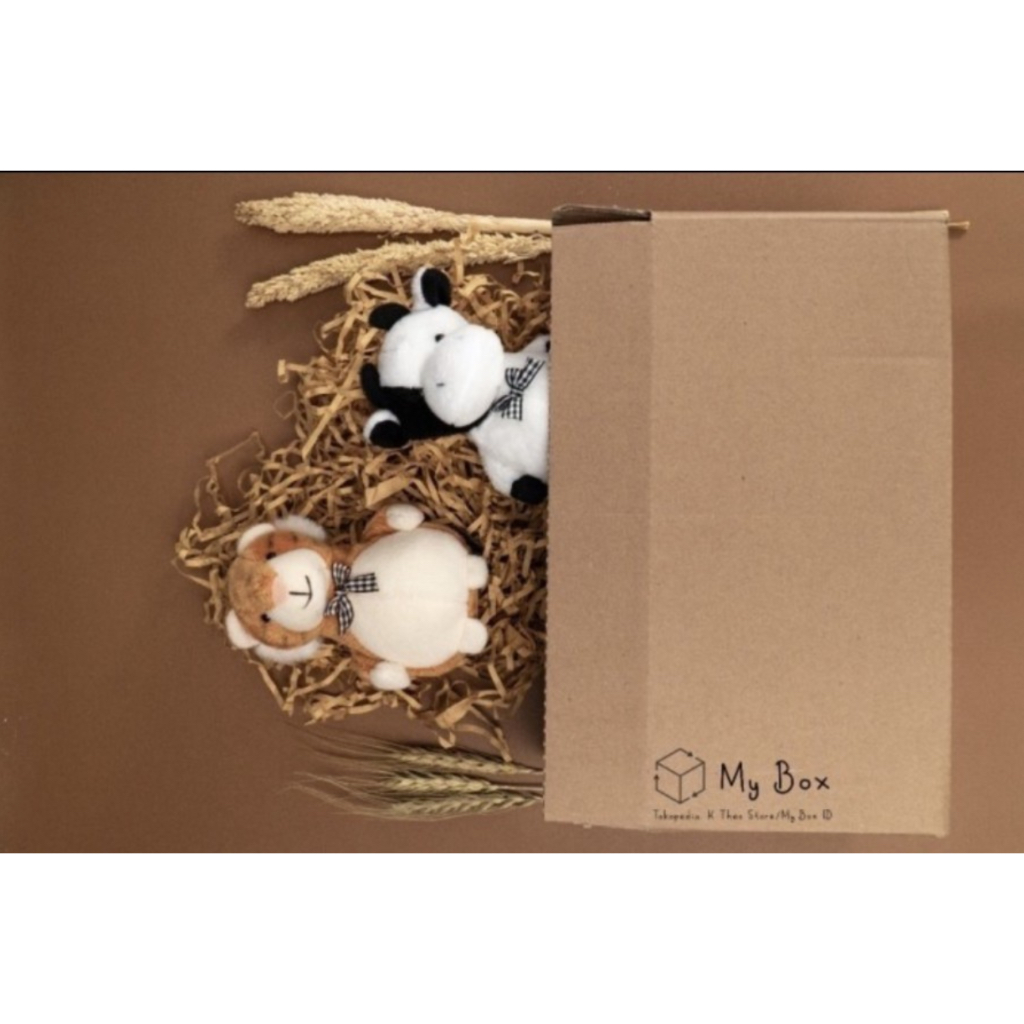 

Box 22x15x15 cm/ 22 x 15 x 15 cm/ Kardus Kotak Packing Packaging Kemasan Produk