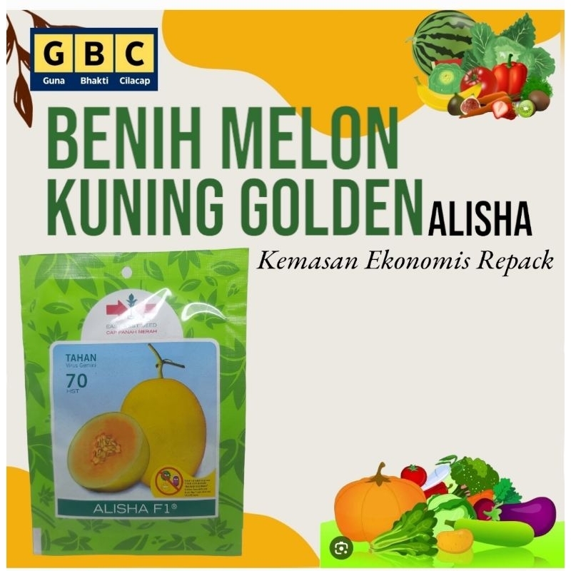 Benih/Biji/bibit Melon Golden ALISHA