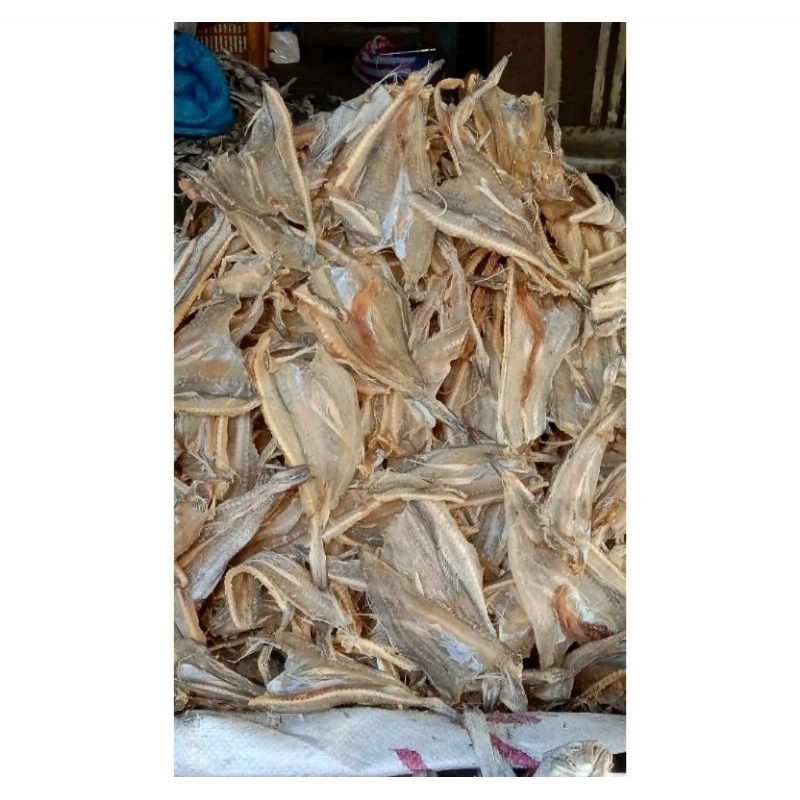 

IKAN KERUPUK KHAS TARAKAN/NUNUKAN-FRESH/BARU