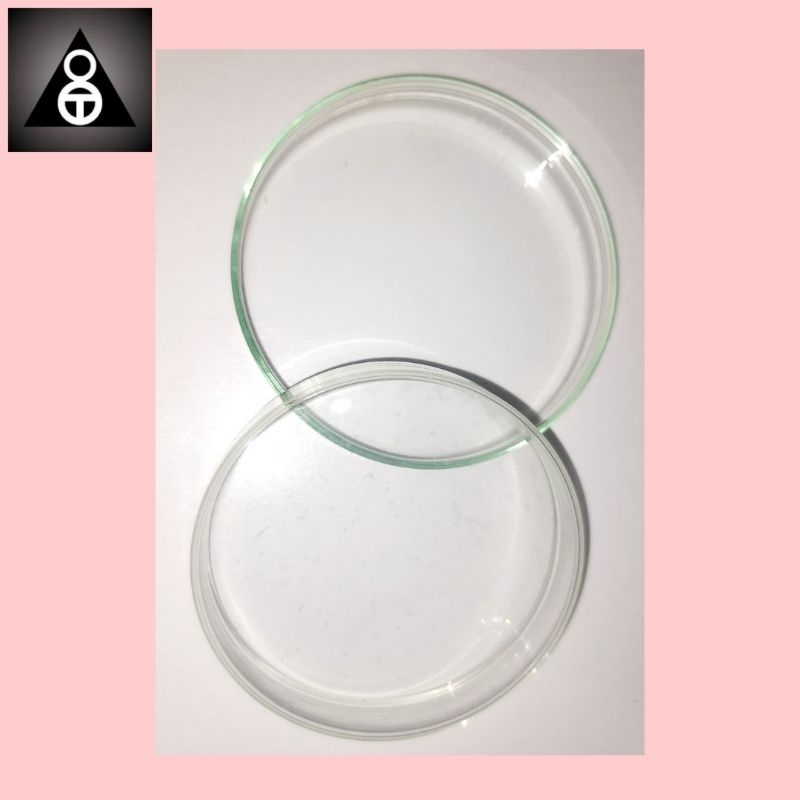 Petri dish / cawan petri kaca 100 x 20 mm
