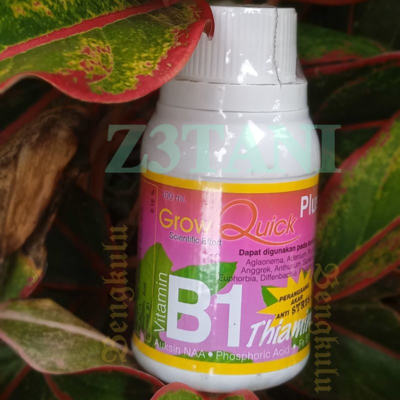 Vitamin B1 Pink Tanaman 100ML  Anti Stress (ASLI) kemasan pabrik