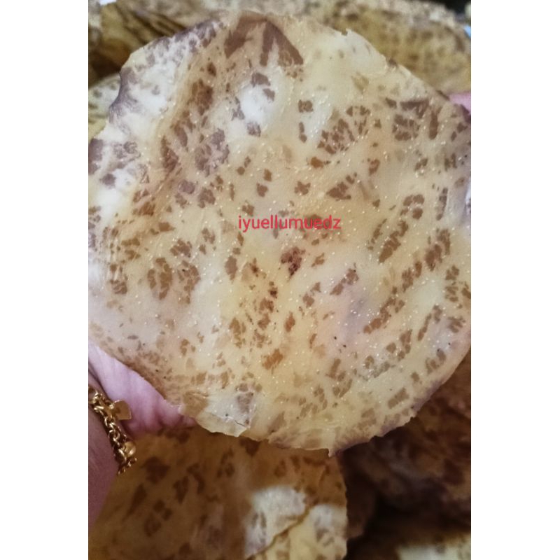 

1kg kerupuk jengkol mentah jumbo