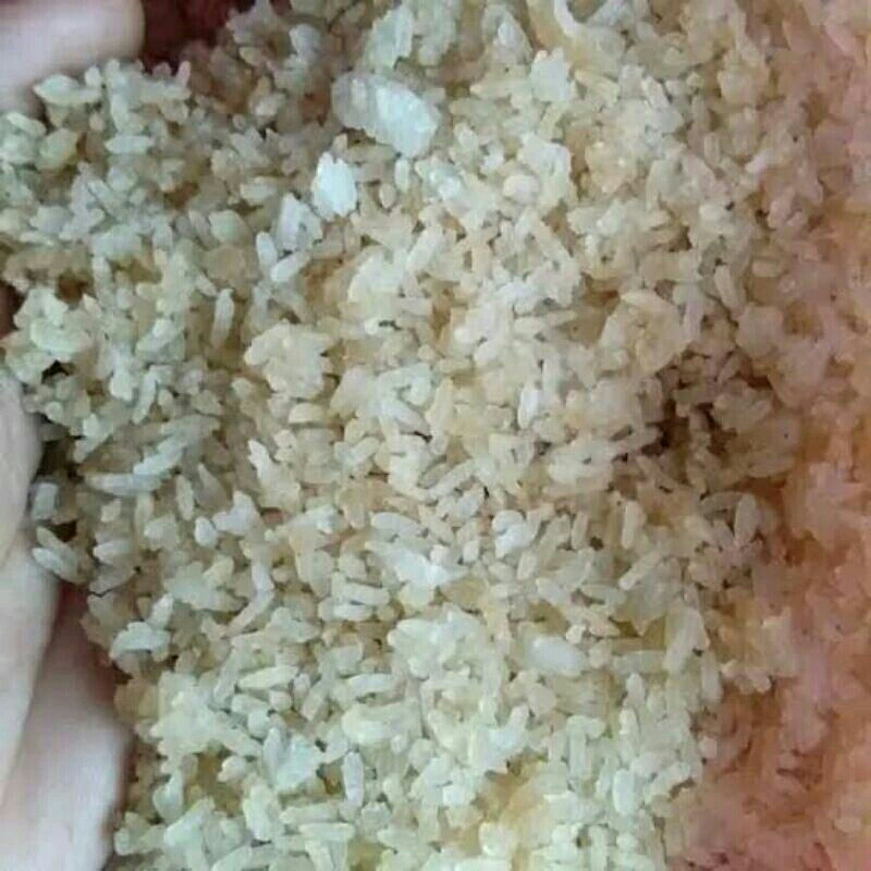 Nasi Aking pakan ternak bebek/ayam