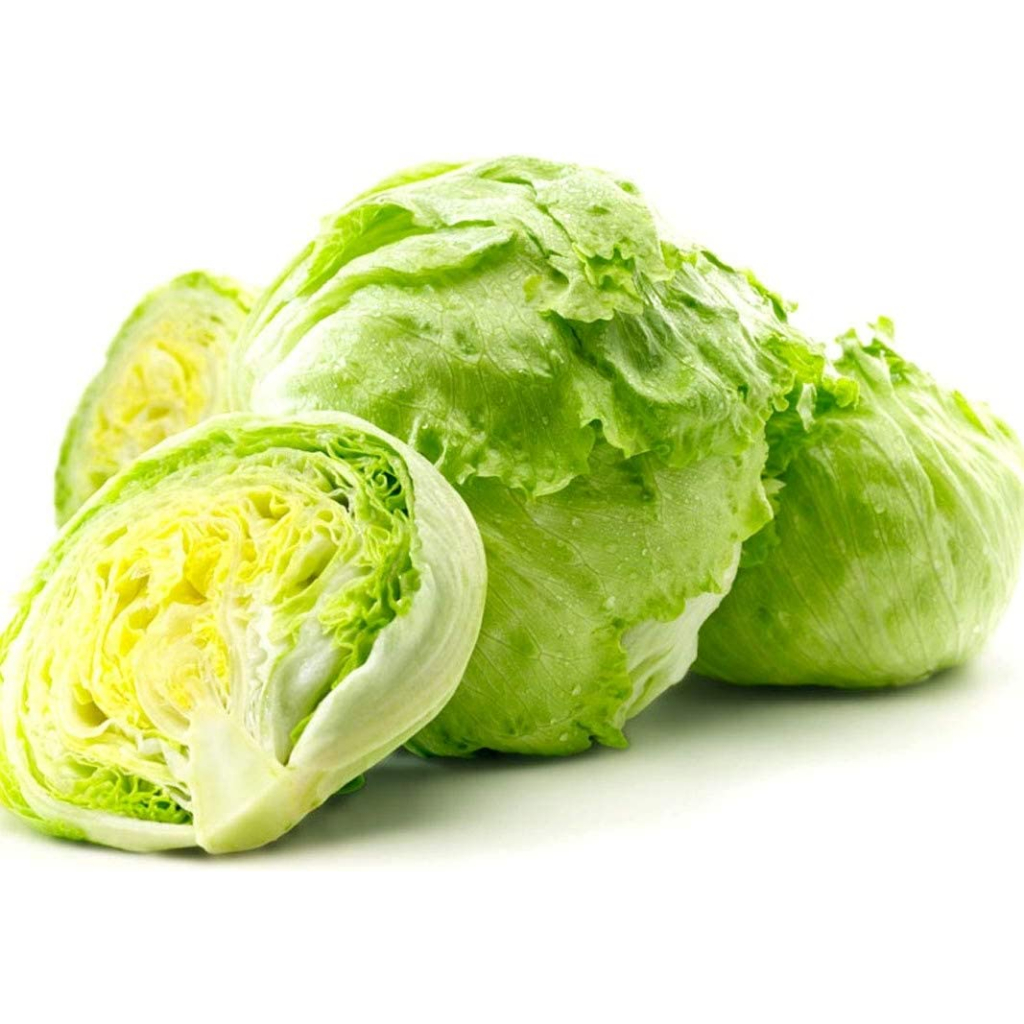 

Selada untuk kebab burger Head Lettuce 1 buah 600-750 gr