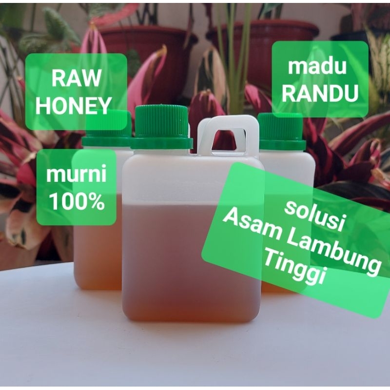 

Madu Randu Asli | Polos 1/2kg | NO TIPU-TIPU | Raw Honey | Harga Grosir