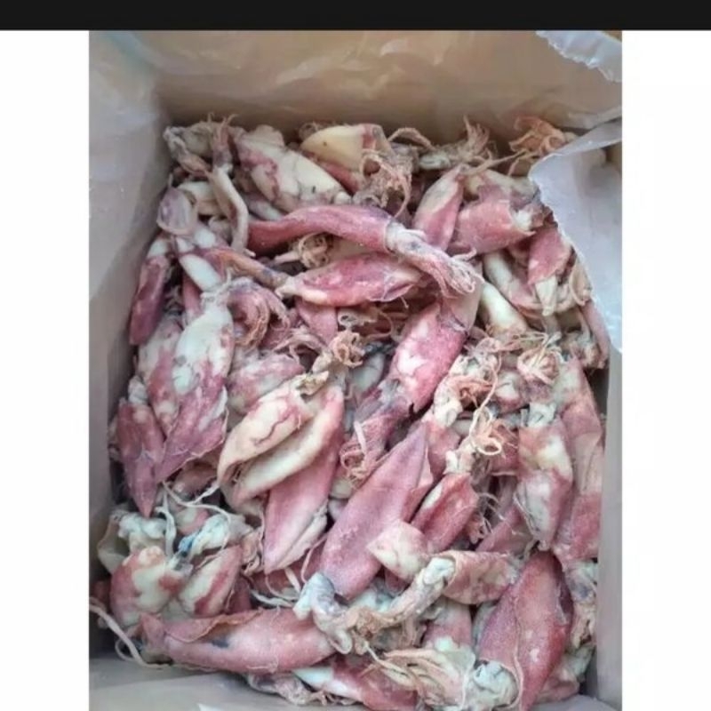 

ikan asin cumi asin ¼kg (TERMURAH)