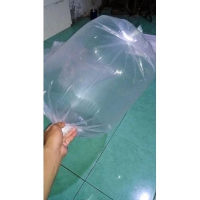 plastik packing ikan