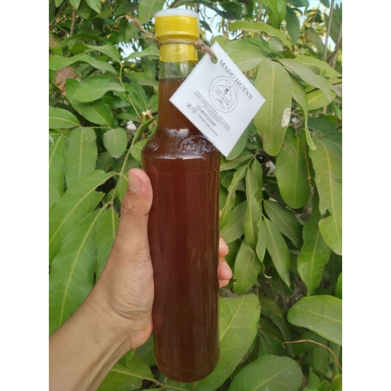 

Madu hutan Ampana sulteng asli dan murni 100%, (460ML)