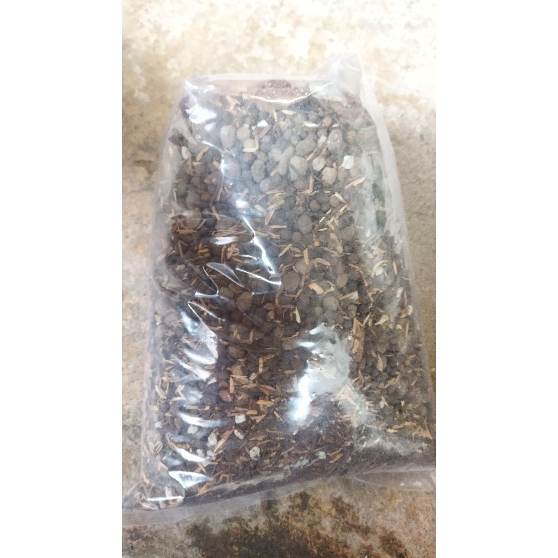 media tanam exclusive untuk anthurium dari klenteng sangrai