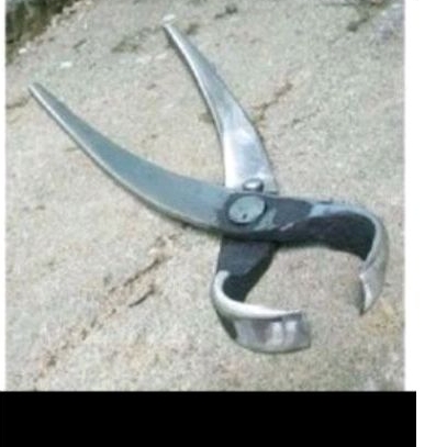 catok bonsai lokal besar