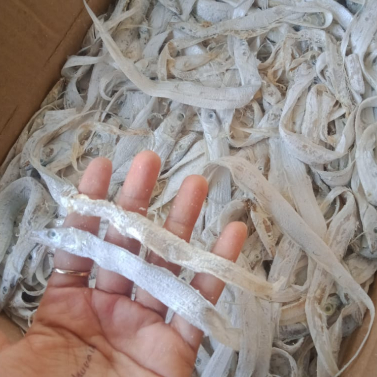 

Ikan asin layur 1KG termurah / asin layur srundel