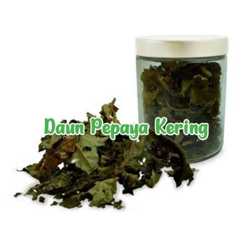 

Daun Pepaya Kering Isi 250 Gram Rempah Herbal