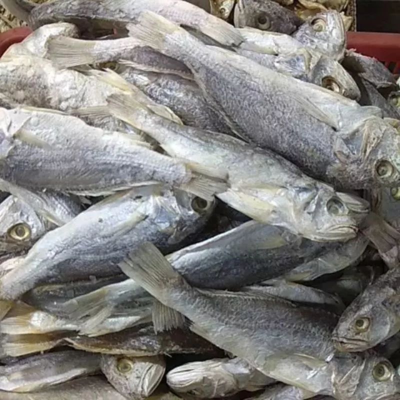 

Ikan Asin Kepala Batu (250gr)