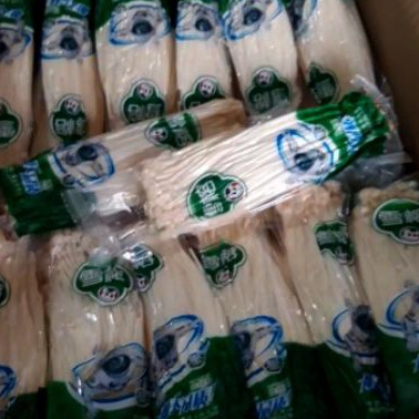 

Jamur enoki mushroom jamur enoki china