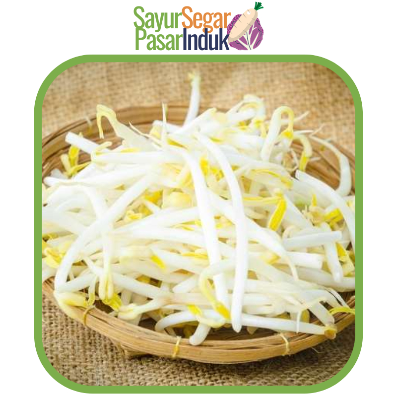 

Sayur Kecambah Toge Tauge Taoge 250 gr Sayur Segar Pasar Induk