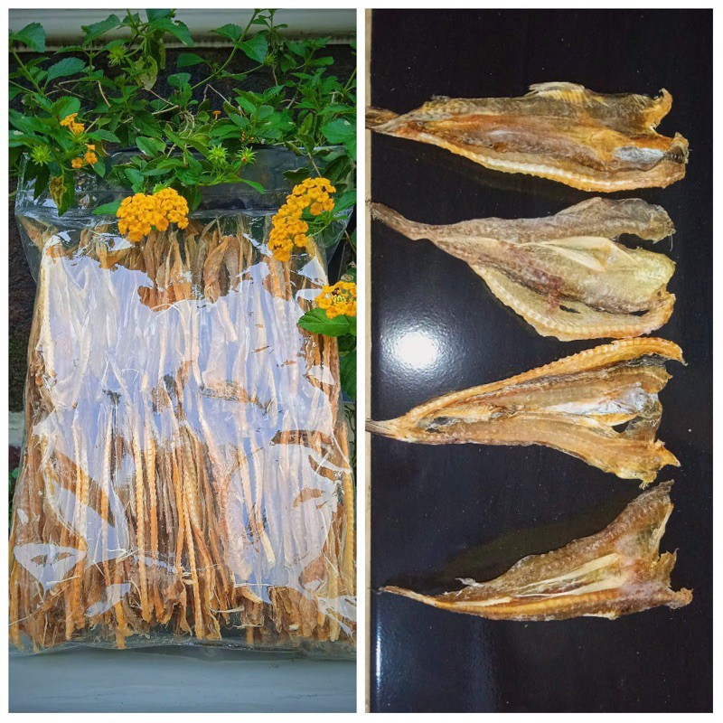 

Ikan Jambrong Kawar