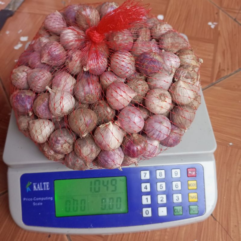 

Bawang putih tunggal | 1 Kg fresh Tersortir baik