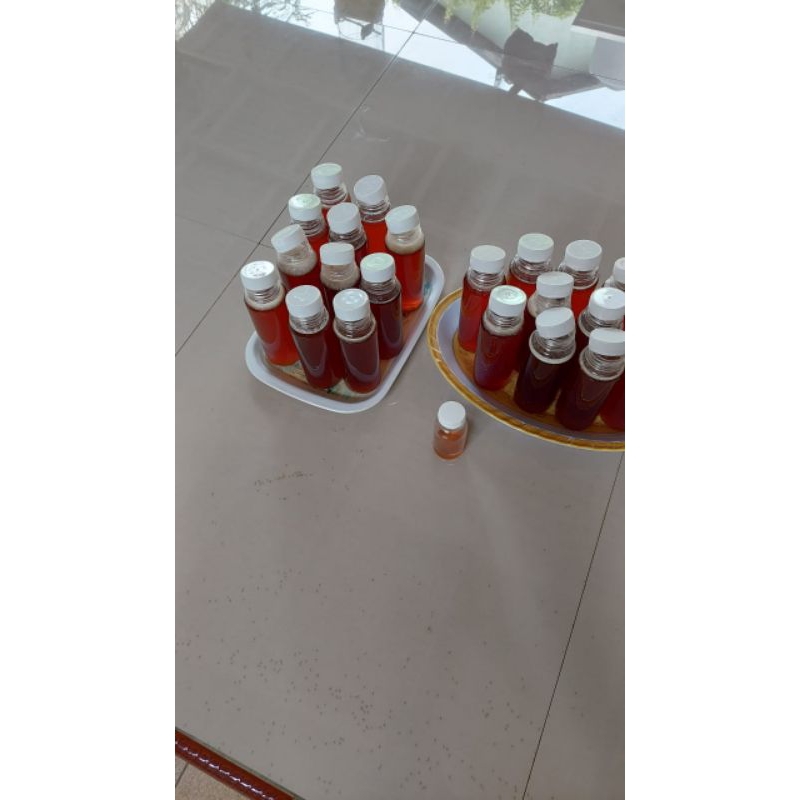 

madu kelulut triguna reborn