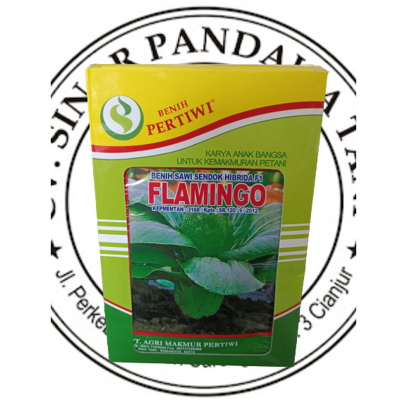 benih sawi sendok flamingo 10gram