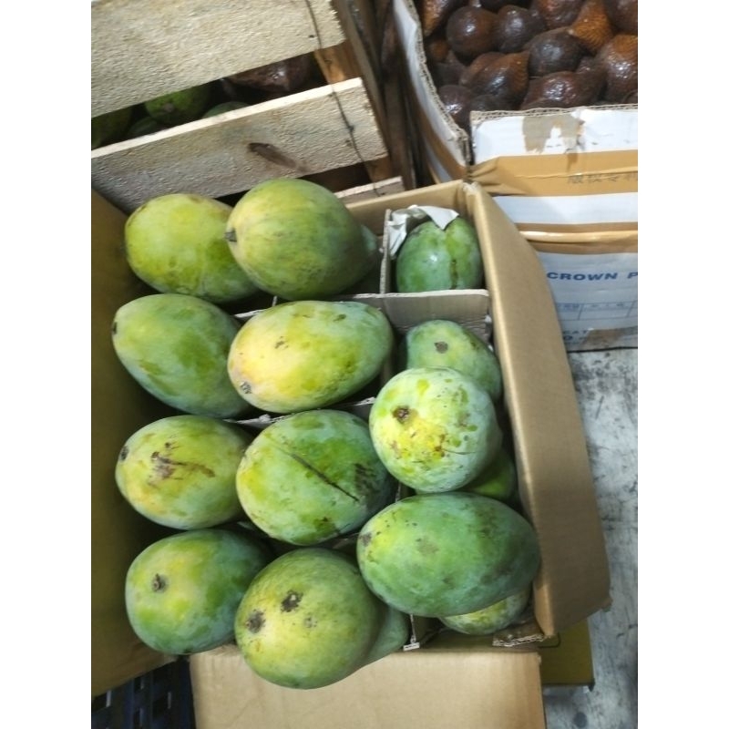 

Mangga Harum Manis 500g