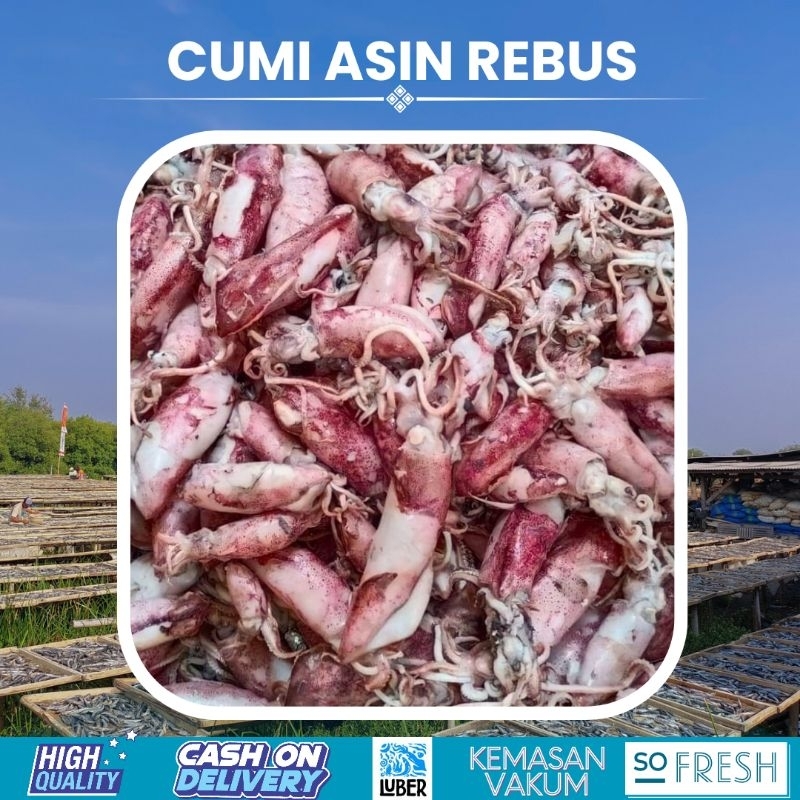 

cumi asin kering rebus termurah 1kg