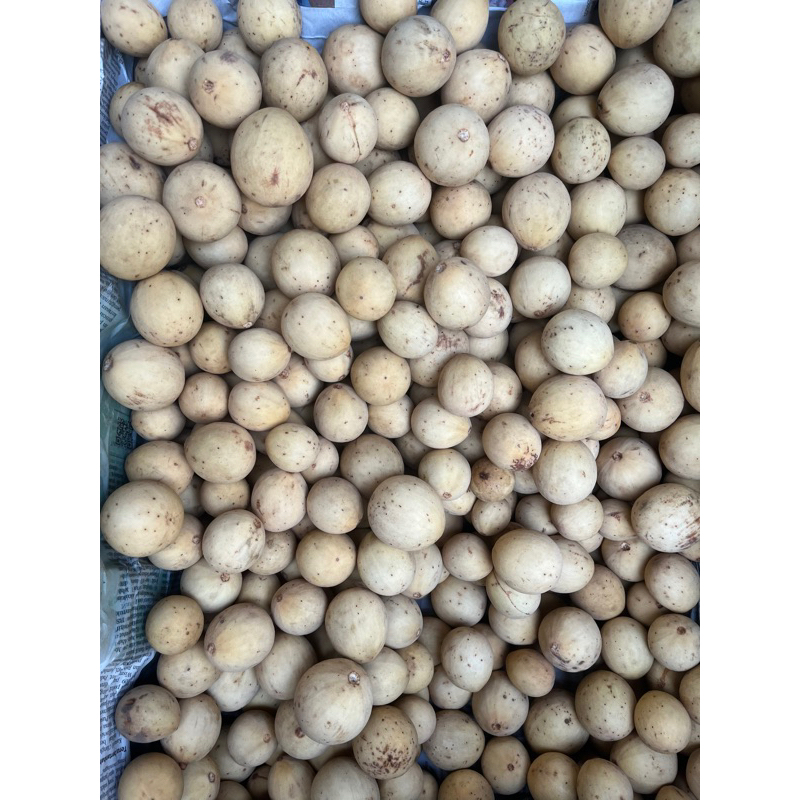 

Duku Pontianak manis enak fresh