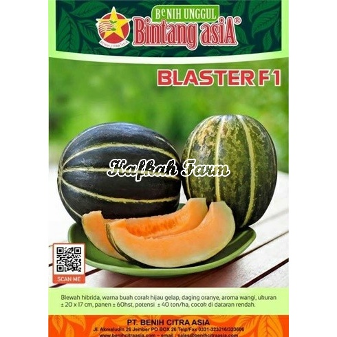 Benih 5 Biji Blewah BLASTER F1