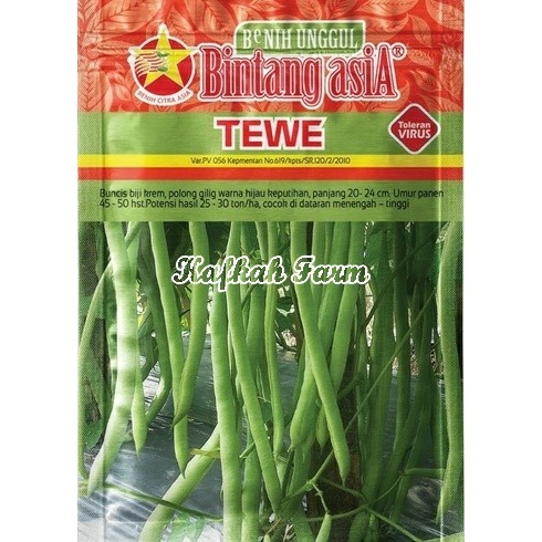 Benih 15 Biji Buncis TEWE