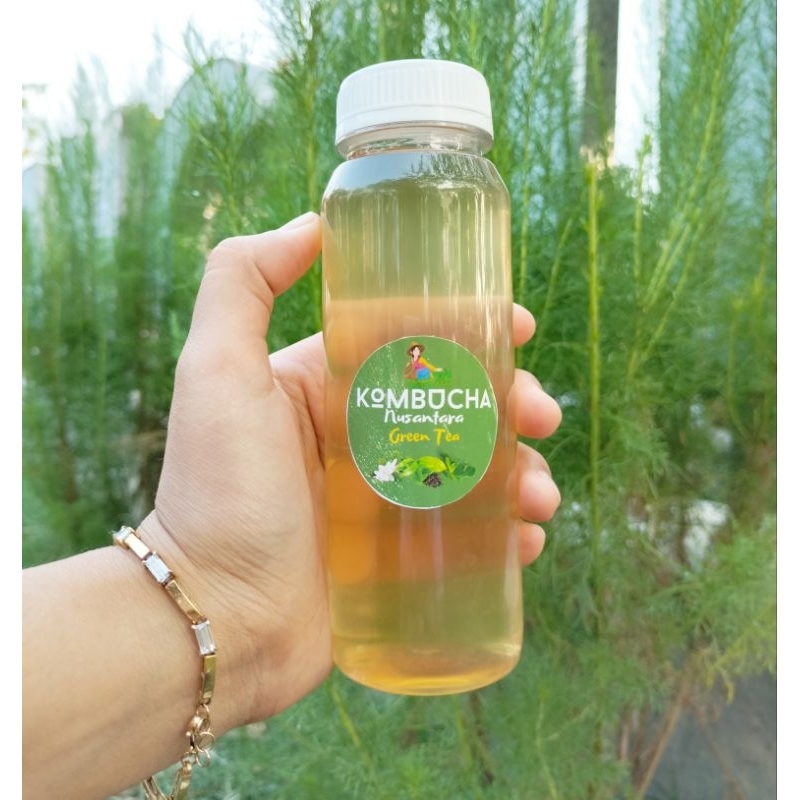 

Kombucha Green Tea Minuman Fermentasi Probiotic