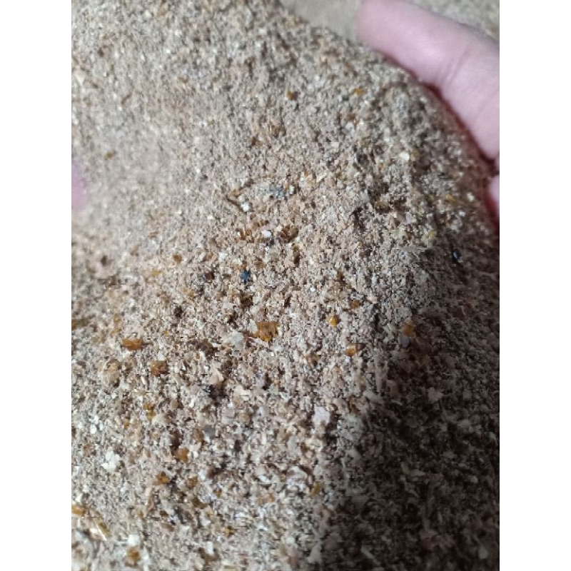 1 KG KOTORAN ULAT HONGKONG  MURAH.