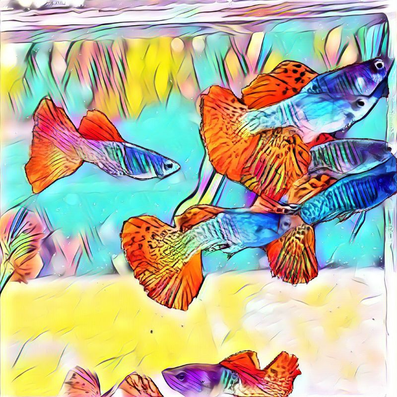 

HERBAL(MSSRL_rose_tail)