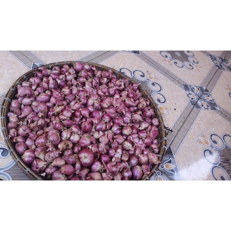 

Bawang merah